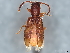  ( - BIOUG48583-B09)  @11 [ ] CreativeCommons - Attribution (2022) CBG Photography Group Centre for Biodiversity Genomics