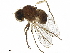  ( - BIOUG47270-A04)  @11 [ ] CreativeCommons - Attribution (2020) CBG Photography Group Centre for Biodiversity Genomics