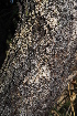 ( - OM0773)  @11 [ ] Unspecified (default): All Rights Reserved  Olivier Maurin Unspecified