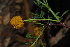  ( - RL1282.1)  @11 [ ] Unspecified (default): All Rights Reserved  Unspecified Unspecified