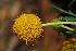  ( - RL1282.1)  @11 [ ] Unspecified (default): All Rights Reserved  Unspecified Unspecified