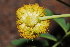  ( - RL1282.1)  @11 [ ] Unspecified (default): All Rights Reserved  Unspecified Unspecified