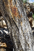  ( - OM1004)  @11 [ ] Unspecified (default): All Rights Reserved  Unspecified Unspecified