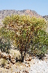  ( - OM1004)  @12 [ ] Unspecified (default): All Rights Reserved  Unspecified Unspecified