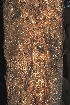  ( - OM0745)  @11 [ ] Unspecified (default): All Rights Reserved  Olivier Maurin Unspecified