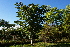  ( - M660)  @11 [ ] Unspecified (default): All Rights Reserved  Unspecified Unspecified