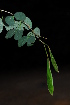  ( - OM2011)  @11 [ ] Unspecified (default): All Rights Reserved  Unspecified Unspecified