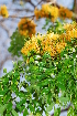  ( - OM1192)  @11 [ ] Unspecified (default): All Rights Reserved  Unspecified Unspecified