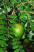 ( - OM1210)  @11 [ ] Unspecified (default): All Rights Reserved  Unspecified Unspecified