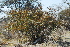  ( - OM1018)  @11 [ ] Unspecified (default): All Rights Reserved  Unspecified Unspecified