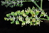  ( - OM1045)  @11 [ ] Unspecified (default): All Rights Reserved  Unspecified Unspecified