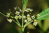  ( - OM0482)  @11 [ ] Unspecified (default): All Rights Reserved  Unspecified Unspecified