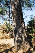  ( - OM1012)  @11 [ ] Unspecified (default): All Rights Reserved  Unspecified Unspecified