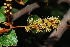  ( - RL1189)  @11 [ ] Unspecified (default): All Rights Reserved  Unspecified Unspecified