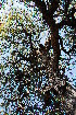 ( - RL1189)  @11 [ ] Unspecified (default): All Rights Reserved  Unspecified Unspecified