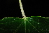  ( - RL1541)  @11 [ ] Unspecified (default): All Rights Reserved  Unspecified Unspecified