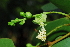  ( - OM0778)  @11 [ ] Unspecified (default): All Rights Reserved  Unspecified Unspecified