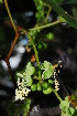  ( - OM0778)  @11 [ ] Unspecified (default): All Rights Reserved  Unspecified Unspecified