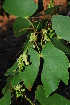  ( - OM0778)  @11 [ ] Unspecified (default): All Rights Reserved  Unspecified Unspecified