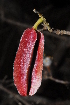  ( - OM1011)  @11 [ ] Unspecified (default): All Rights Reserved  Unspecified Unspecified