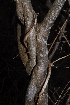  ( - OM1042)  @11 [ ] Unspecified (default): All Rights Reserved  Unspecified Unspecified