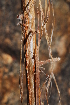  ( - OM0996)  @11 [ ] Unspecified (default): All Rights Reserved  Unspecified Unspecified