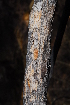  ( - OM0996)  @11 [ ] Unspecified (default): All Rights Reserved  Unspecified Unspecified