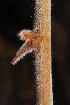  ( - OM0996)  @11 [ ] Unspecified (default): All Rights Reserved  Unspecified Unspecified