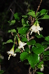  ( - OM1292)  @11 [ ] Unspecified (default): All Rights Reserved  Unspecified Unspecified