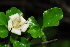  ( - OM1410)  @11 [ ] Unspecified (default): All Rights Reserved  Unspecified Unspecified