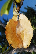  ( - OM0295)  @11 [ ] Unspecified (default): All Rights Reserved  Unspecified Unspecified