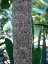  ( - CS09)  @11 [ ] Unspecified (default): All Rights Reserved  Unspecified Unspecified