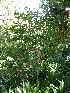  ( - CS09)  @11 [ ] Unspecified (default): All Rights Reserved  Unspecified Unspecified
