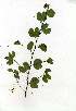 ( - CS13)  @11 [ ] Copyright  - Unspecified