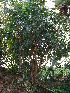  (Mackaya - CS14)  @12 [ ] Unspecified (default): All Rights Reserved  Unspecified Unspecified
