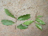  ( - CS17)  @11 [ ] Unspecified (default): All Rights Reserved  Unspecified Unspecified