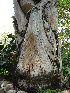  ( - CS18)  @11 [ ] Unspecified (default): All Rights Reserved  Unspecified Unspecified