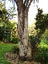  ( - CS18)  @11 [ ] Unspecified (default): All Rights Reserved  Unspecified Unspecified