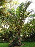  ( - CS18)  @11 [ ] Unspecified (default): All Rights Reserved  Unspecified Unspecified