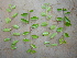  ( - CS19)  @11 [ ] Unspecified (default): All Rights Reserved  Unspecified Unspecified