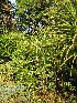 ( - CS19)  @11 [ ] Unspecified (default): All Rights Reserved  Unspecified Unspecified