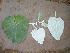  ( - CS25)  @11 [ ] Unspecified (default): All Rights Reserved  Unspecified Unspecified