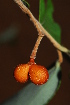  ( - RL1405)  @11 [ ] Unspecified (default): All Rights Reserved  Unspecified Unspecified