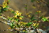  ( - OM0323)  @11 [ ] Unspecified (default): All Rights Reserved  Unspecified Unspecified