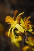  ( - OM0323)  @11 [ ] Unspecified (default): All Rights Reserved  Unspecified Unspecified