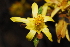  ( - OM0323)  @11 [ ] Unspecified (default): All Rights Reserved  Unspecified Unspecified