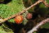 ( - OM0392)  @11 [ ] Unspecified (default): All Rights Reserved  Unspecified Unspecified