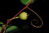  ( - RBN215)  @11 [ ] Unspecified (default): All Rights Reserved  Unspecified Unspecified
