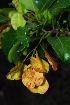  ( - RL1610)  @11 [ ] Unspecified (default): All Rights Reserved  Unspecified Unspecified