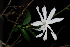  ( - OM0782)  @11 [ ] Unspecified (default): All Rights Reserved  Olivier Maurin Unspecified